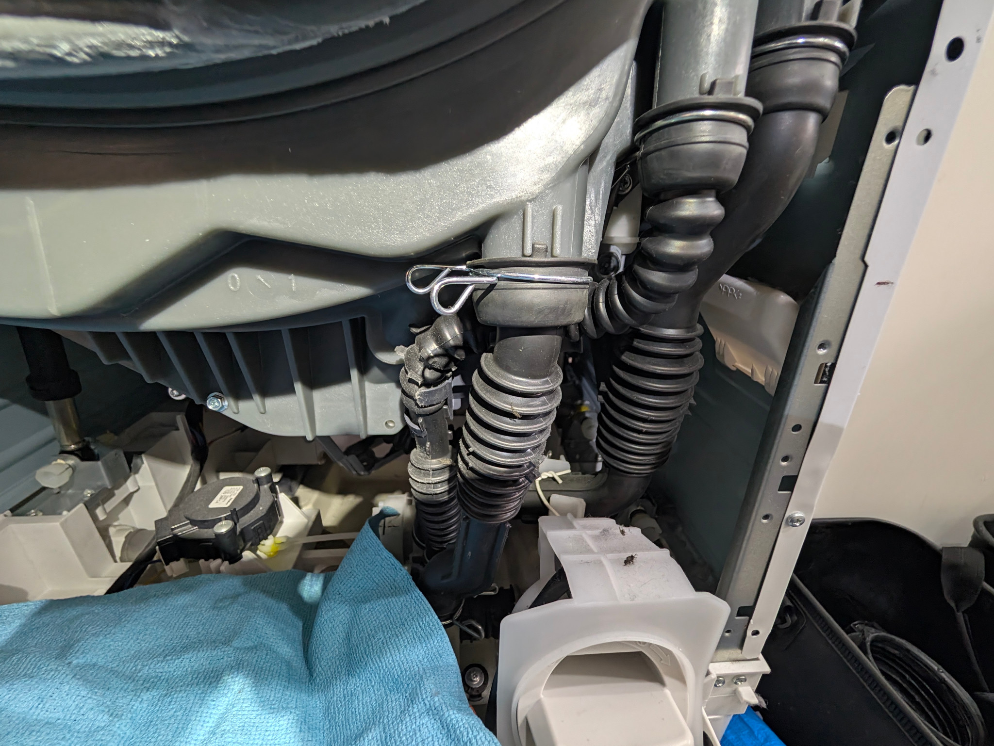 洗濯機内部の蛇腹ホース周辺